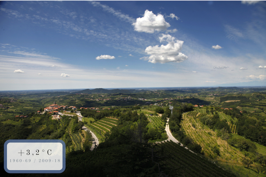 colline con vigneti e un paese