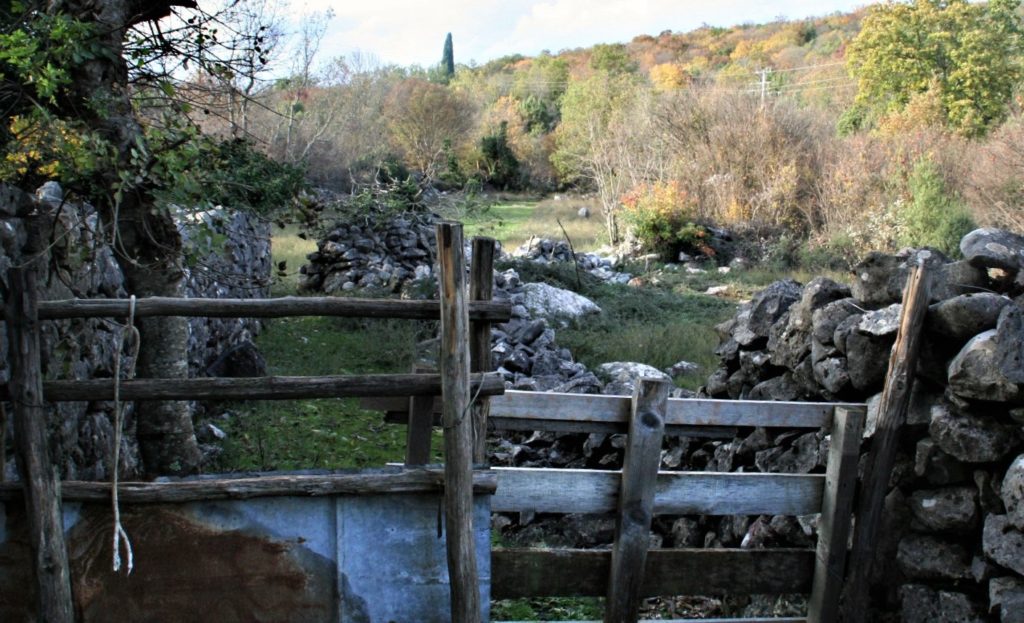 Campagna disegnata dai muretti a secco - Mariangela Pizziolo