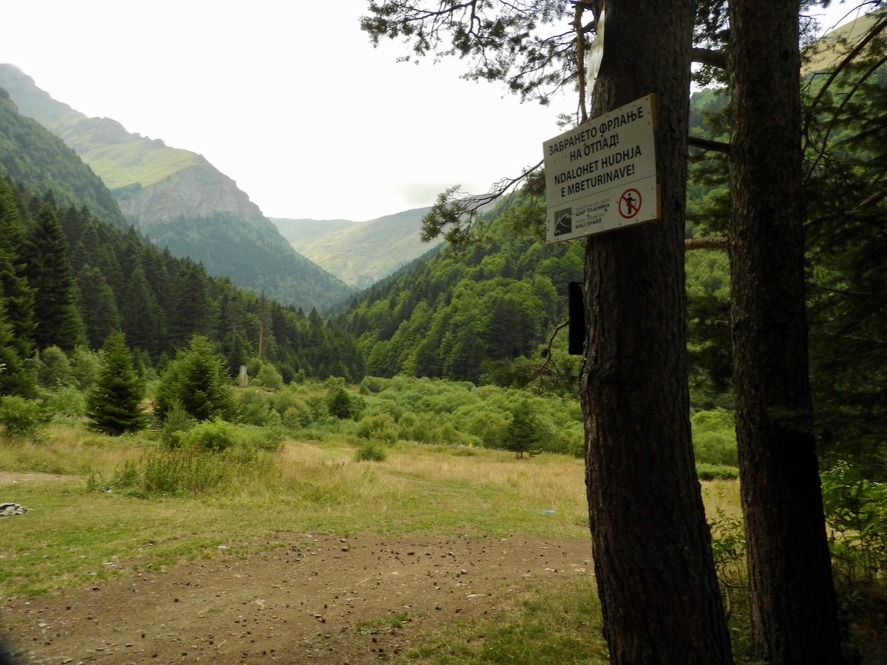 radura e montagne boscose