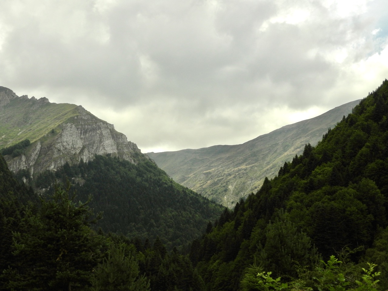 boschi e montagne rocciose con cielo nuvoloso