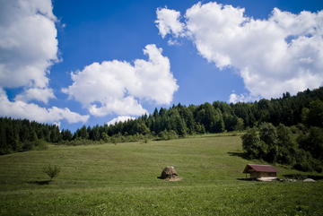 I campi attorno a Zelenkovac vengono falciati dai volontari