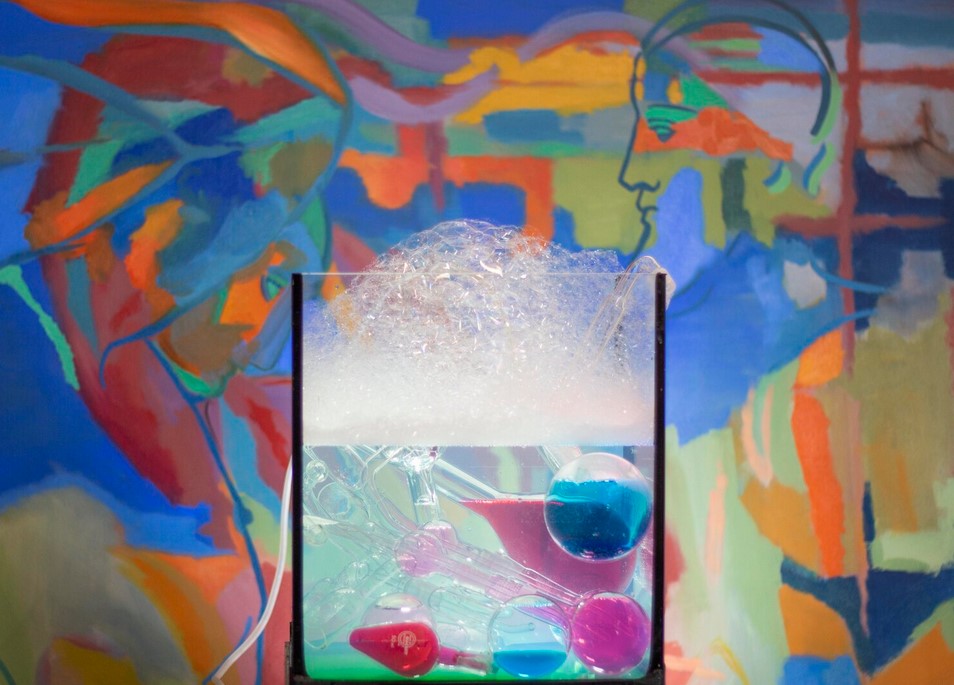 Gala Bell, Aquarium series, 2018. Dimensions variable.