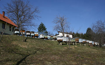 L'agriturismo - http://www.ozren.org