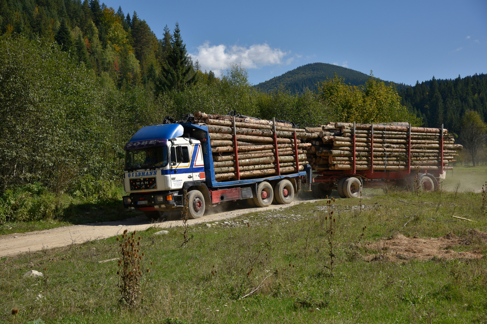 Balcani-ecocidio-e-protezione-della-natura