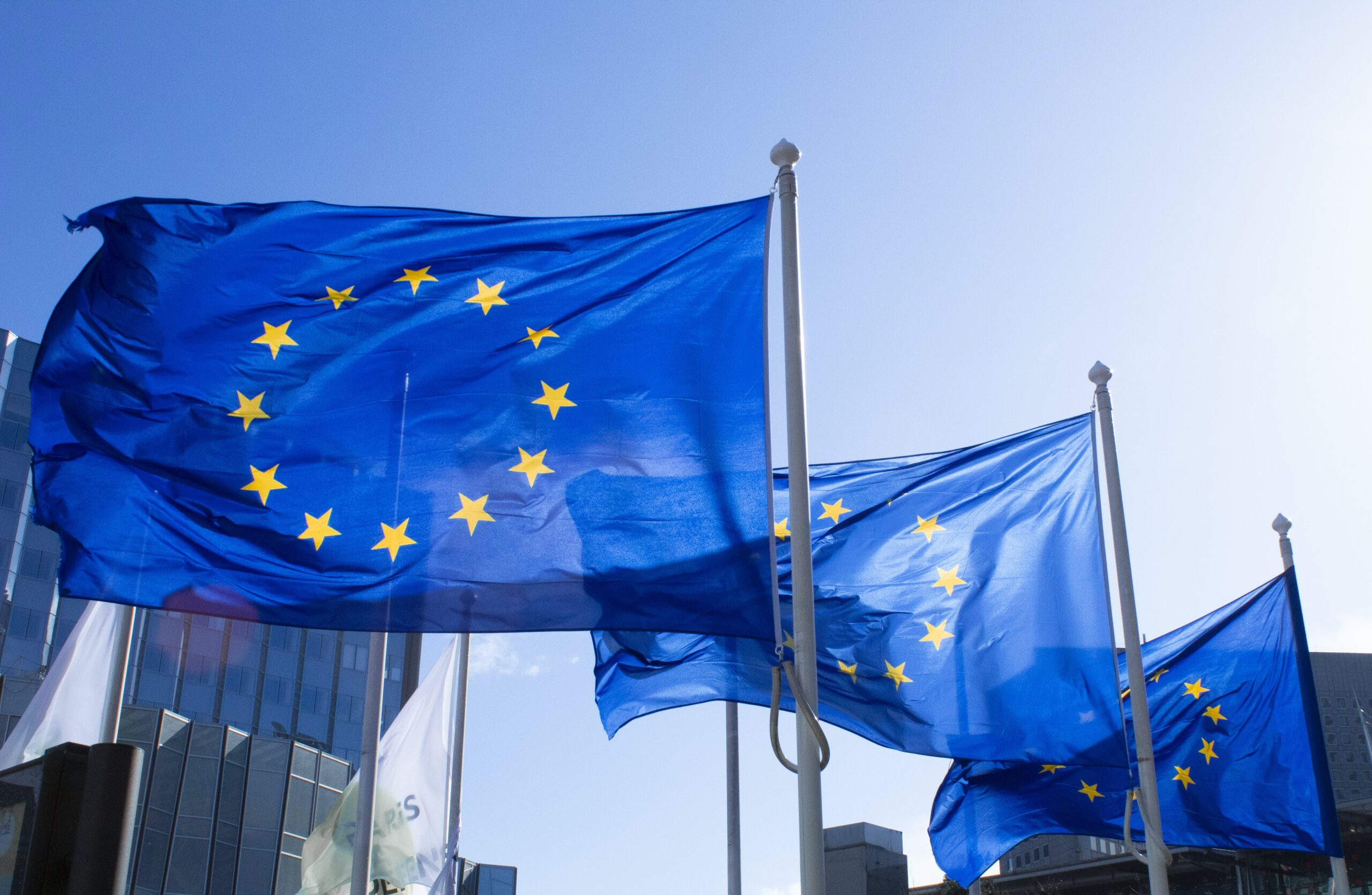Handmaids-of-transnational-democracy-EU-politicization-and-citizens-initiatives-by-trade-unions