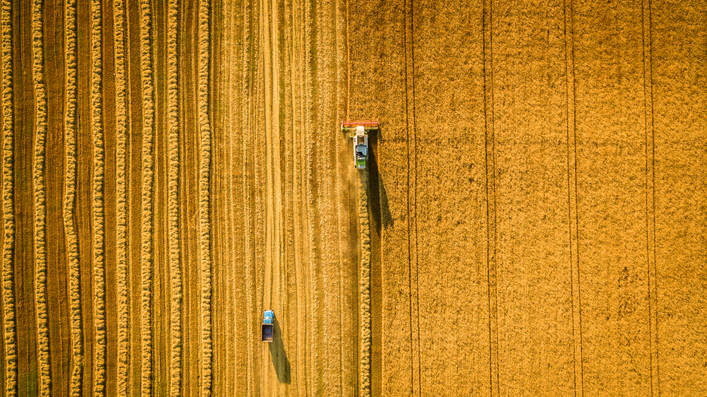 Ue-e-cambiamento-climatico-tanti-fondi-pochi-risultati
