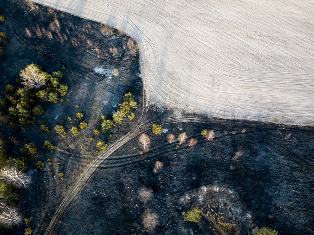 Ukraine-s-forest-fires-surge-amidst-war