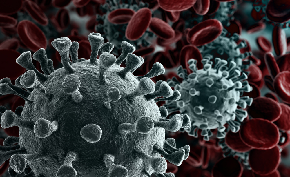 Bosnia-Erzegovina-tanto-rumore-per-un-virus-che-ancora-non-c-e