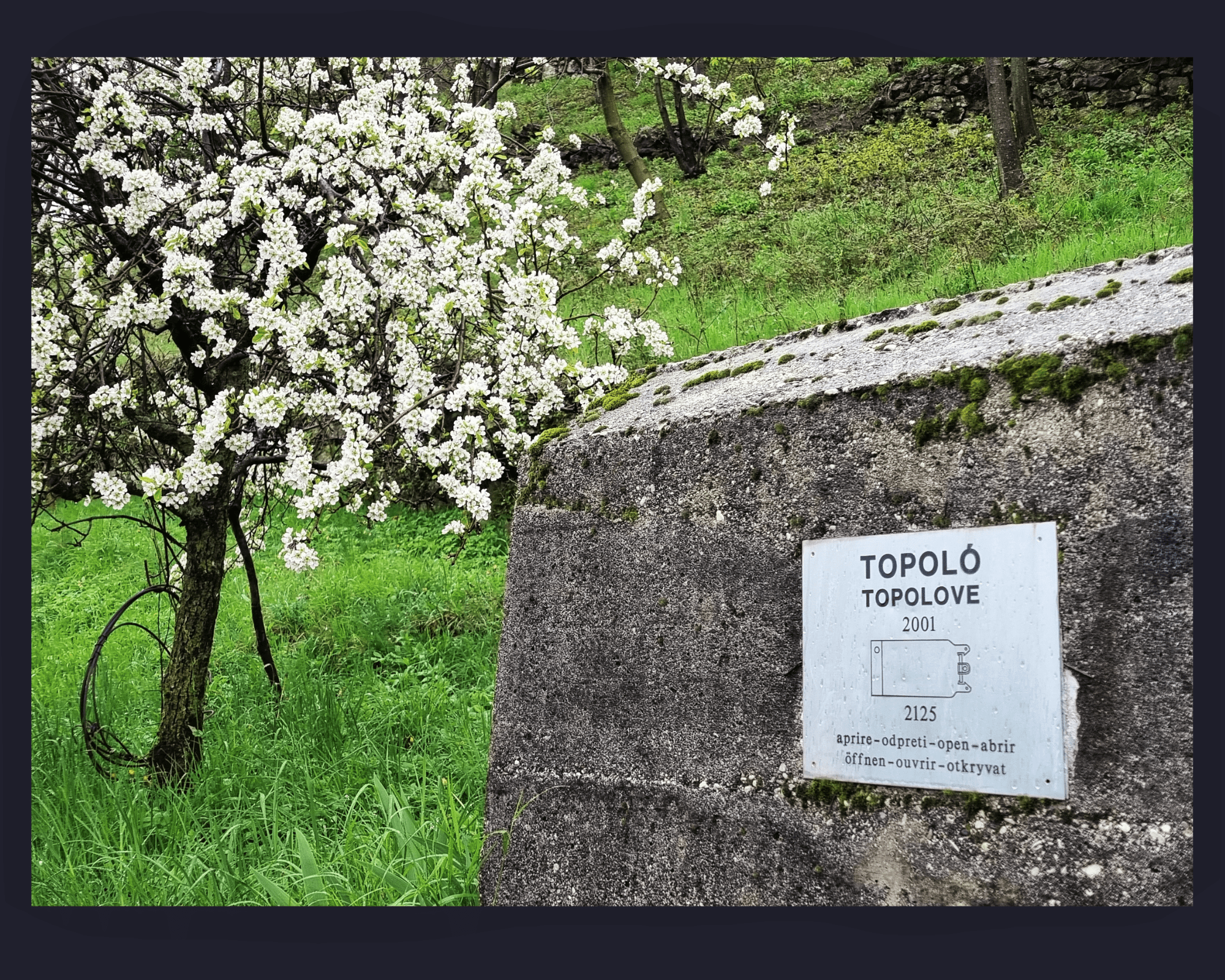 Topolo-Europa.-Voci-dal-confine-1