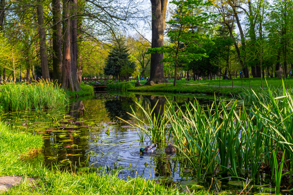 Craiova, Romania, Parco Nicolae Romanescu - © Oanea/Shutterstock