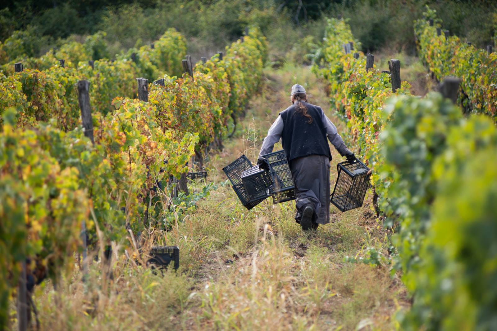 Monastic-wine-in-Serbia-and-in-Herzegovina