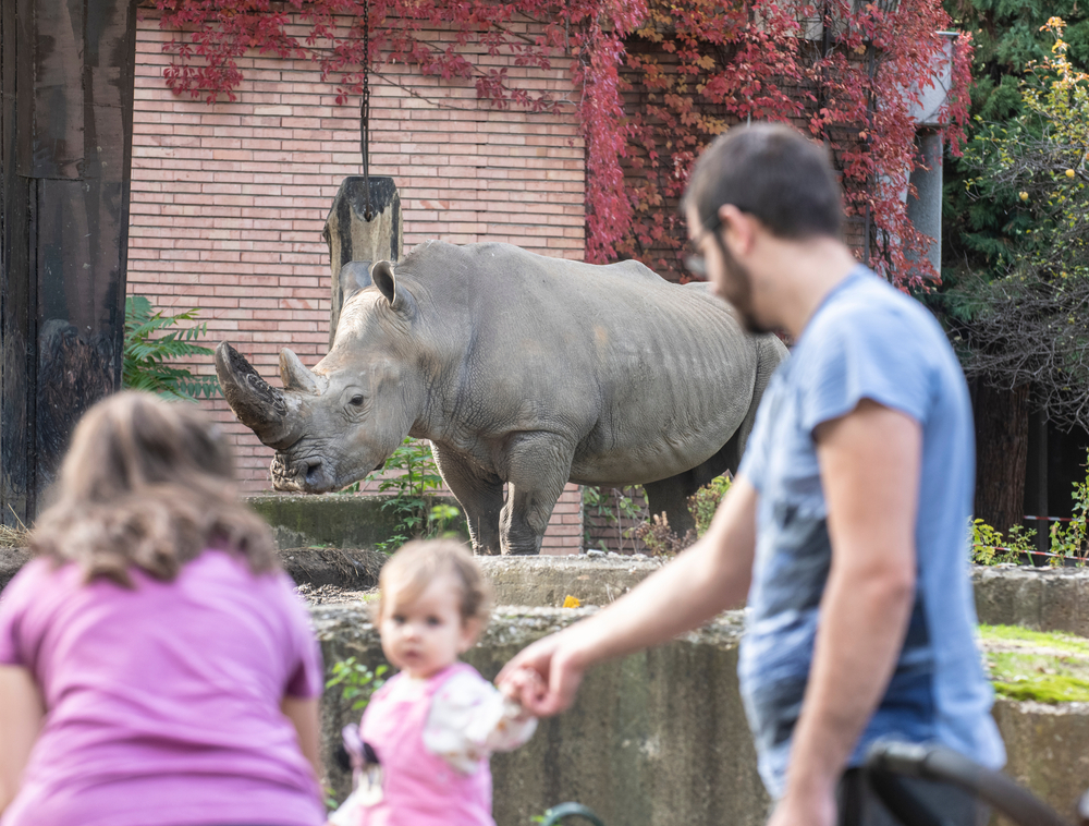 Zoo-in-Bulgaria-un-ecosistema-in-transizione