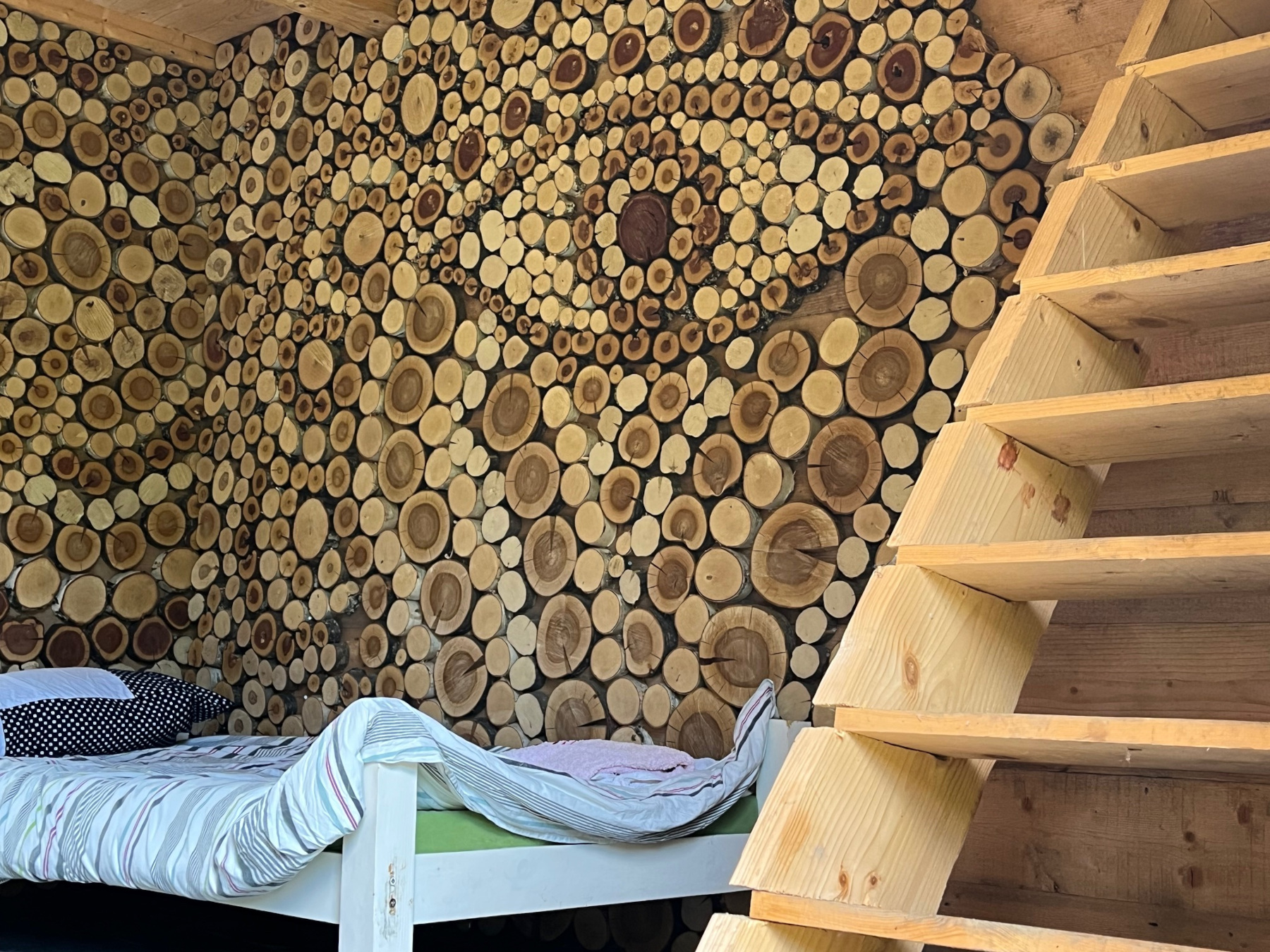 16_Ekometa-2025-foto-N.Corritore