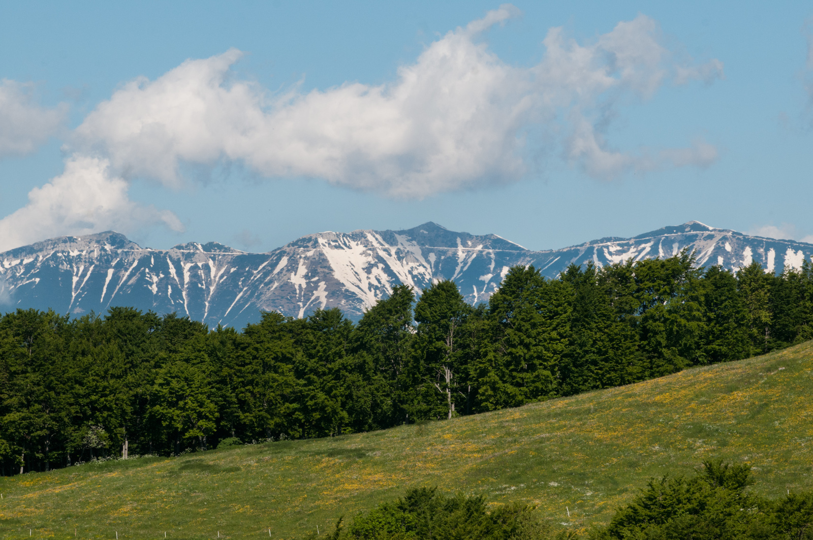 5_Monte-Baldo-Italia-foto-progetto-PROMONT-1