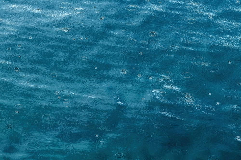 Arian-Leka-abbiamo-trasformato-il-mare-in-un-mostro