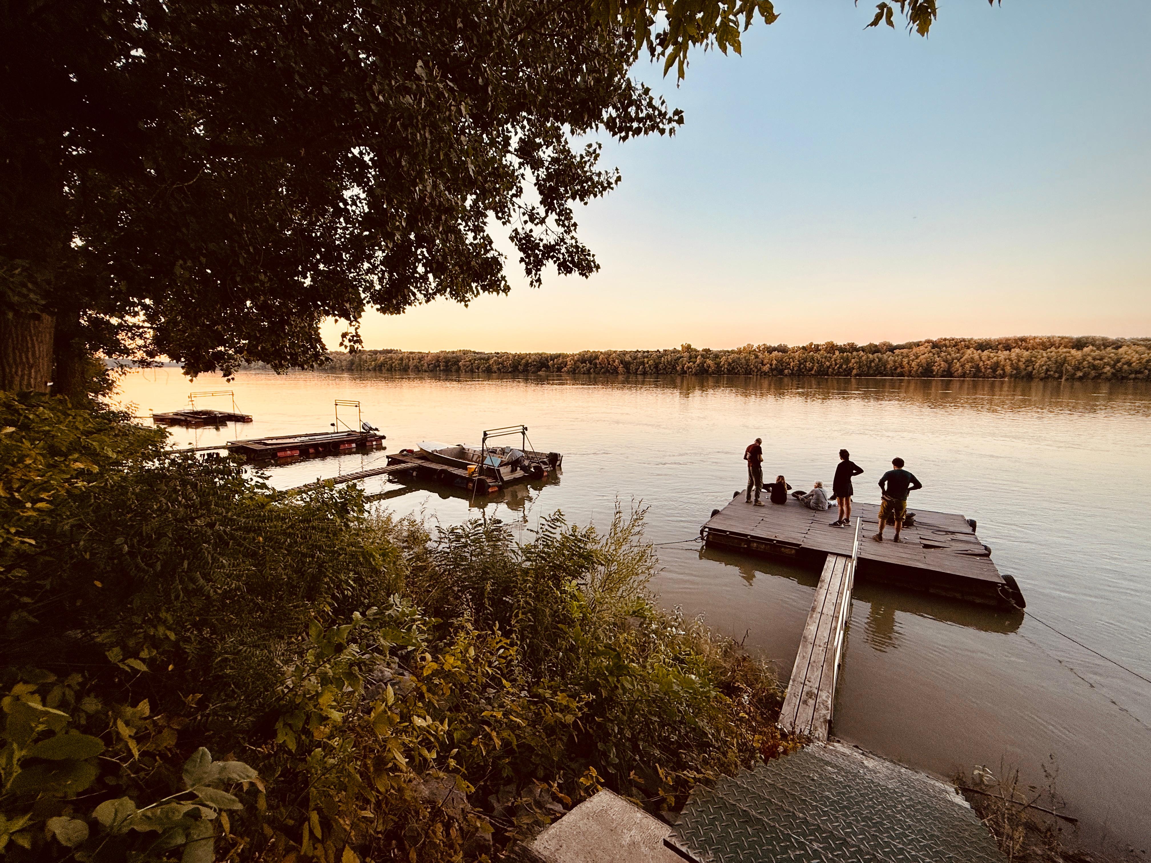 Cronache-danubiane-la-foresta-ungherese