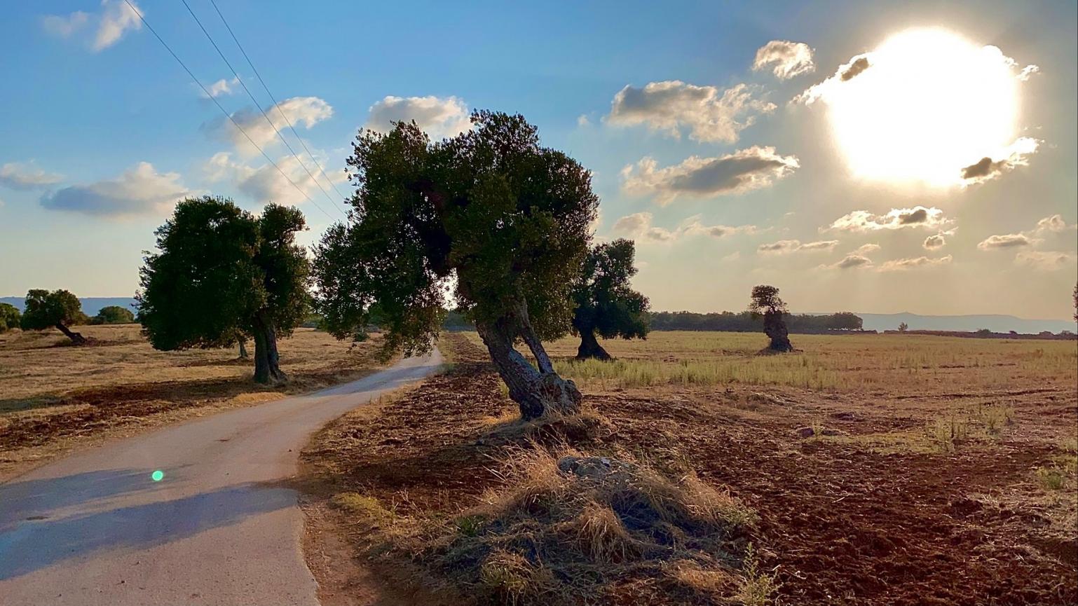 Southern-Adriatic-innovate-connect-and-grow-sustainably